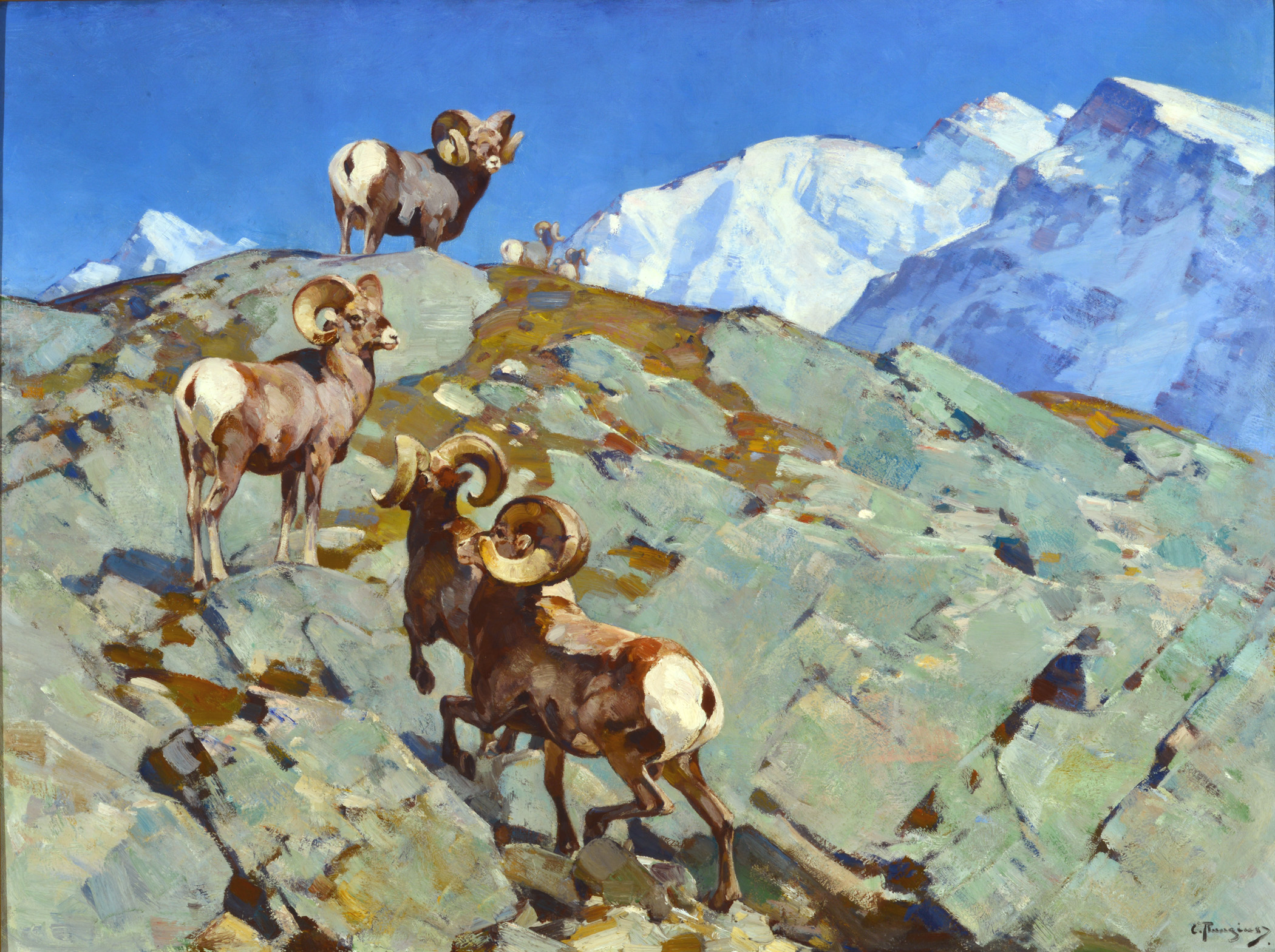 Rungius-Carl-1869-1959-Rams-Alarmed