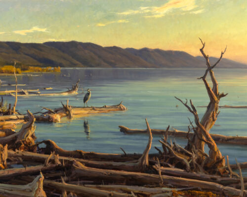 Aspevig-Clyde-Flathead-Lake-Bird-Refuge