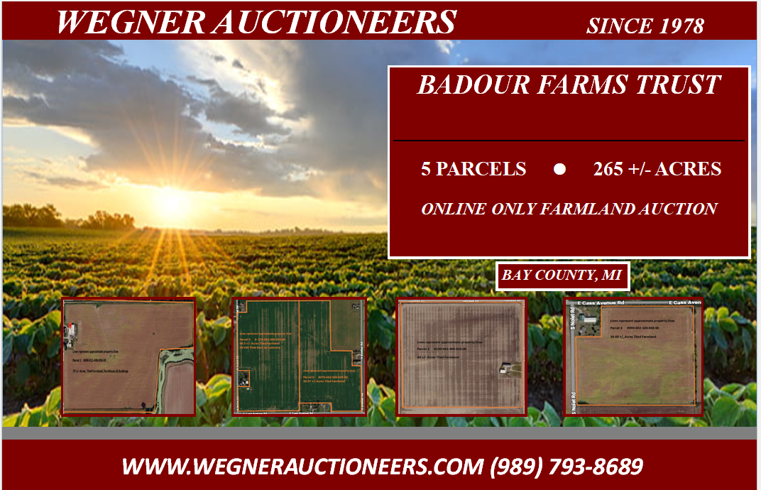 BADOUR FARMS TRUST – 5 PARCEL – 265 +/- ACRES – ONLINE ONLY FARMLAND AUCTION – CLOSES NOVEMBER 24TH @7PM