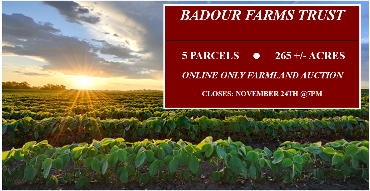 BADOUR FARMS TRUST – 5 PARCEL – 265 +/- ACRES – ONLINE ONLY FARMLAND AUCTION – CLOSES NOVEMBER 24TH @7PM